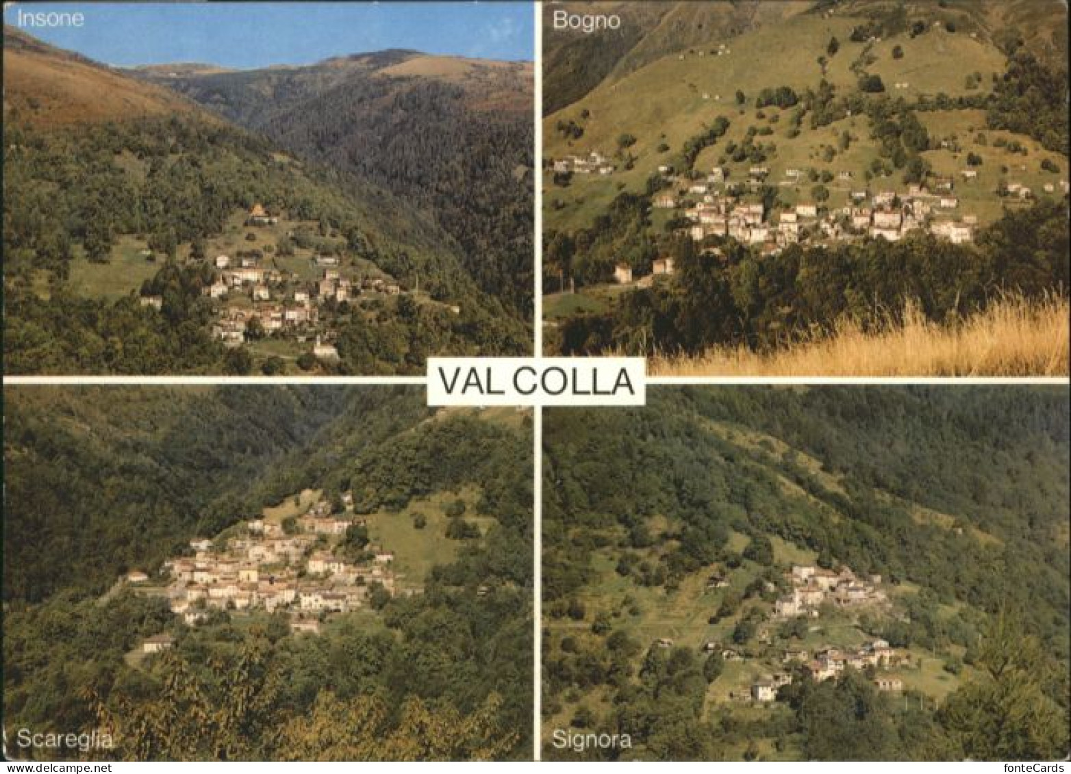 10875335 Colla Colla Insone Bogno Scareglia Signora * Colla - Other & Unclassified