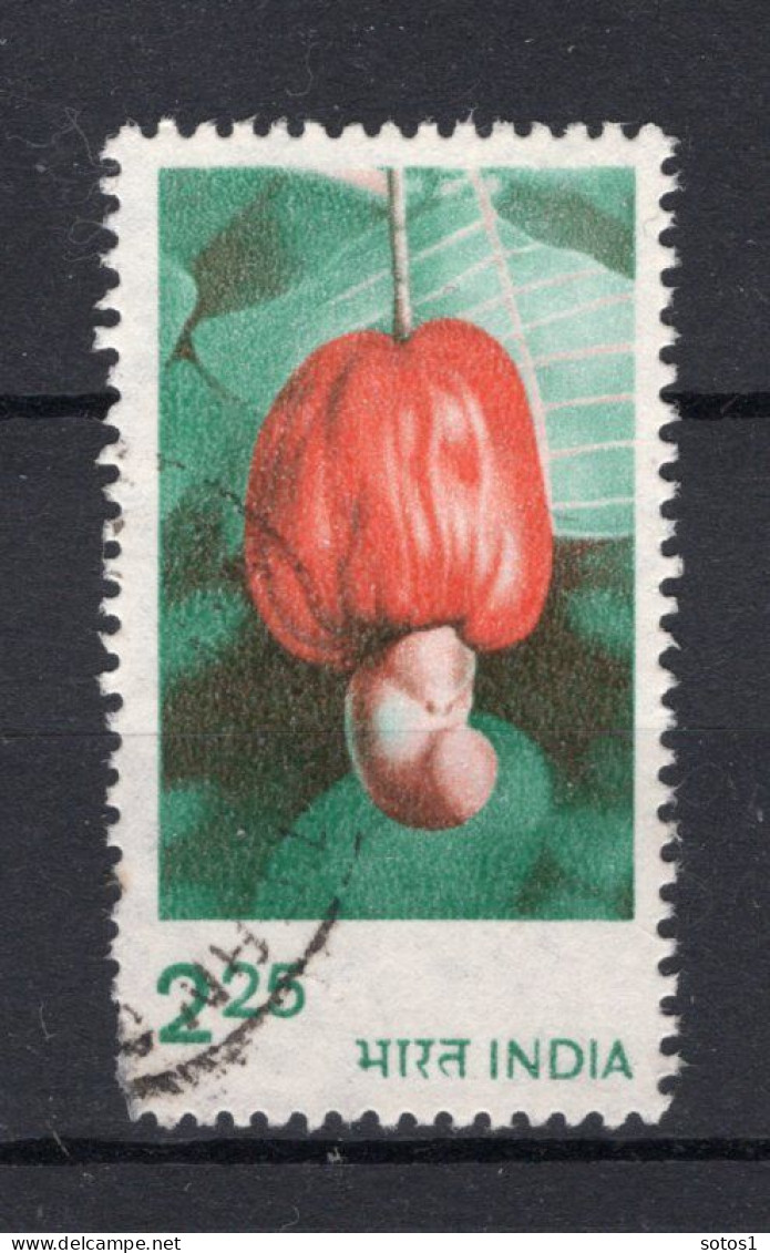 INDIA Yt. 663° Gestempeld 1981 - Used Stamps