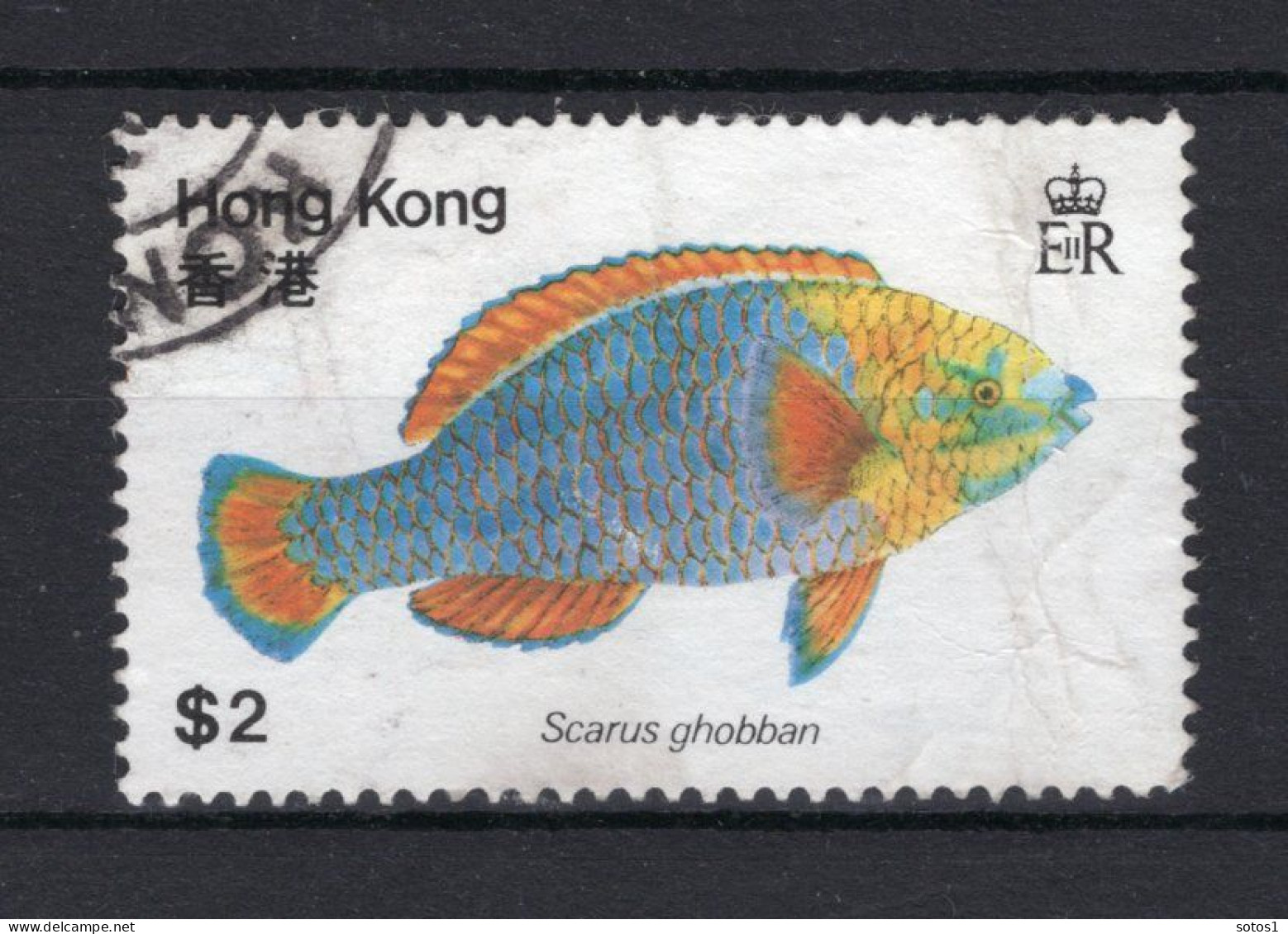HONG KONG Yt. 365° Gestempeld 1981 - Oblitérés
