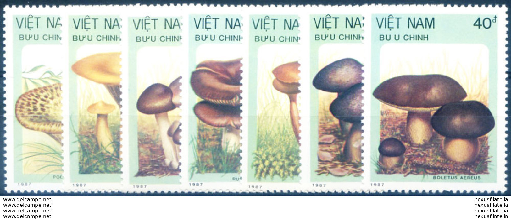 Funghi 1987. - Viêt-Nam