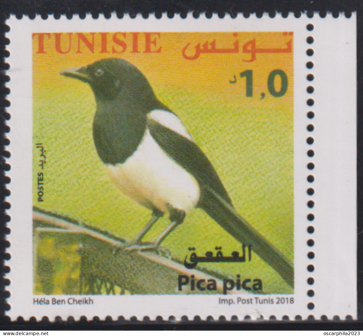 2018-Tunisie- Faune  Terrestre Et Maritime De La Tunisie ---  Pica Pica -- 1V -MNH***** - Climbing Birds