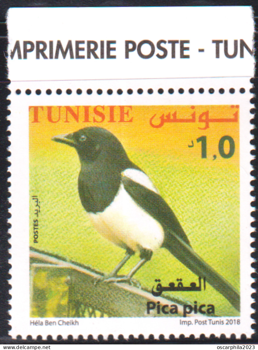 2018-Tunisie- Faune  Terrestre Et Maritime De La Tunisie ---  Pica Pica -- 1V -MNH***** - Tunisia