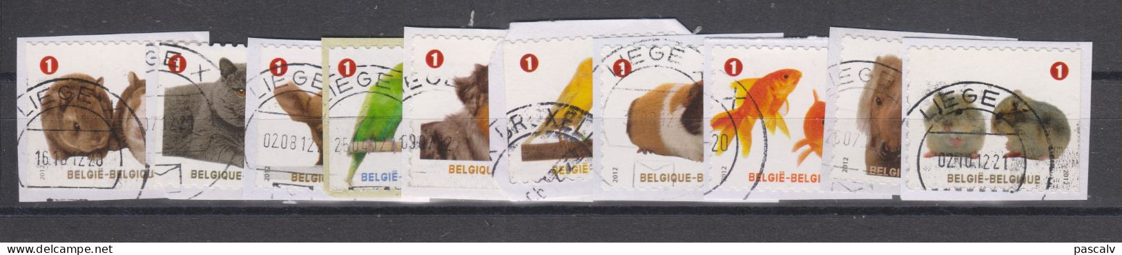 COB 4230 / 4239 Série Complète Animaux Canard Chien Chat Poney Lapin Hamster Cobaye - Used Stamps