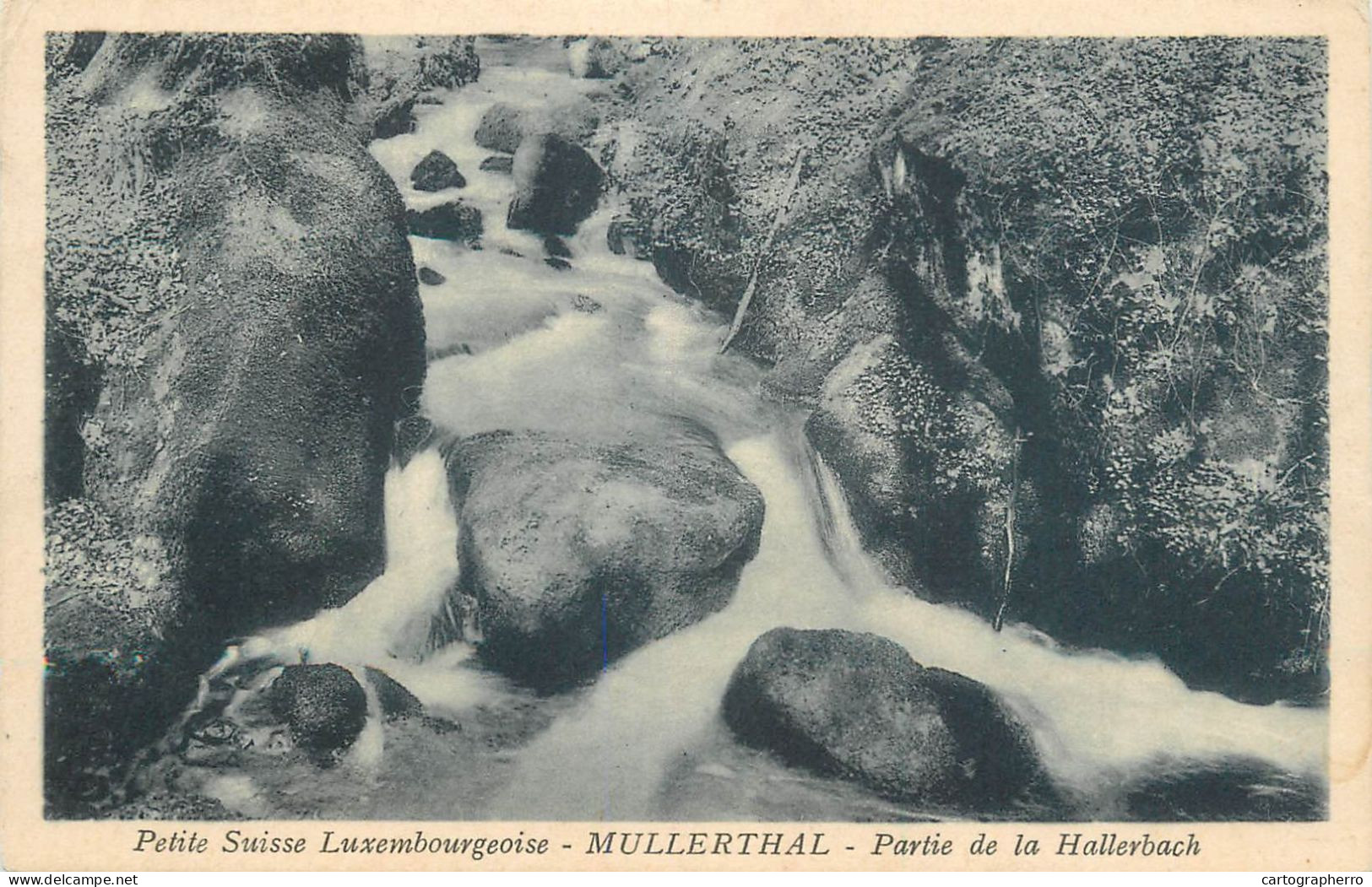 Postcard Luxembourg Muellerthal Hallerbach - Müllerthal