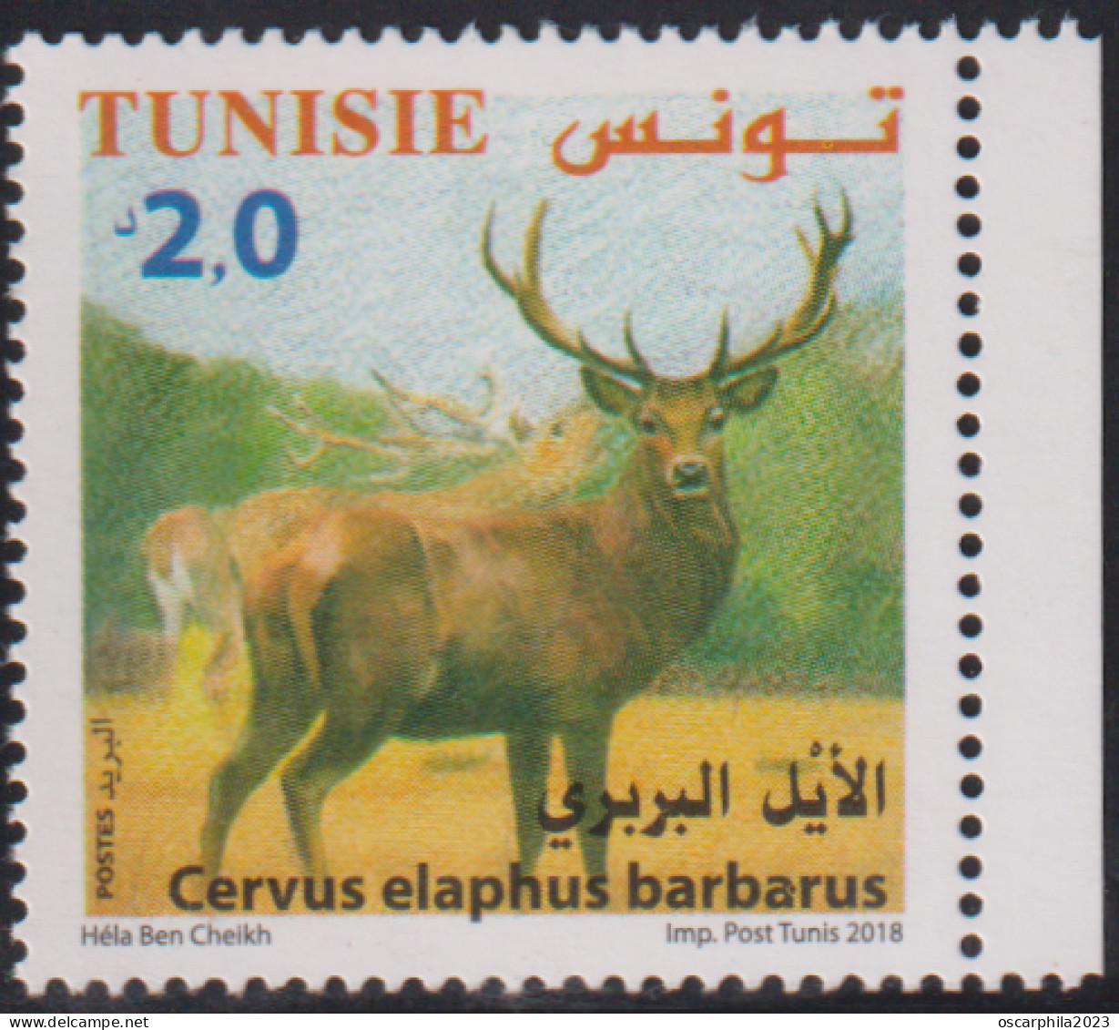 2018 - Tunisie - Faune Terrestre Et Maritime En Tunisie, ---  Cervus Elaphus ---- 1V  -MNH***** - Tunisia