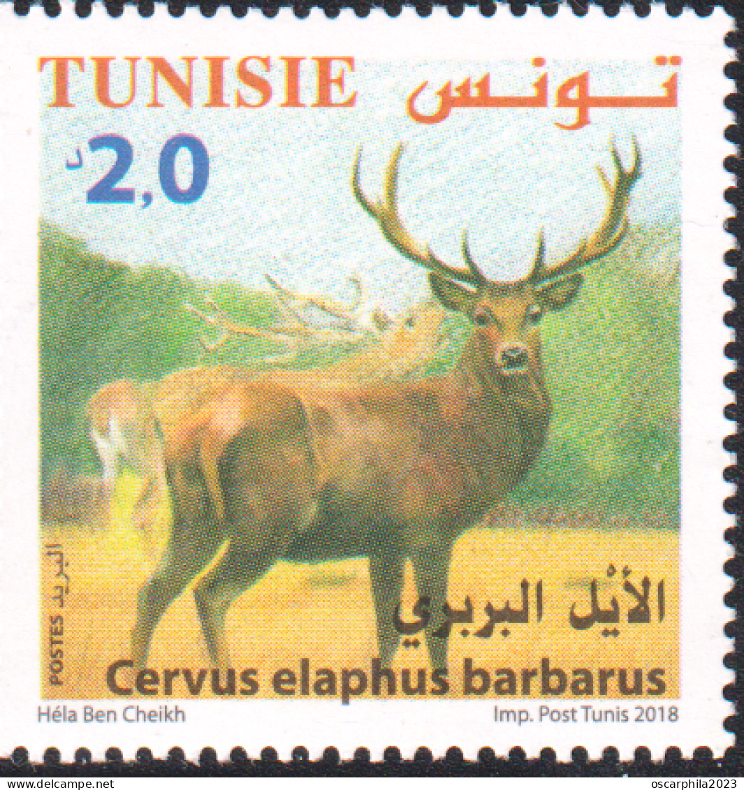 2018 - Tunisie - Faune Terrestre Et Maritime En Tunisie, ---  Cervus Elaphus ---- 1V  -MNH***** - Other & Unclassified