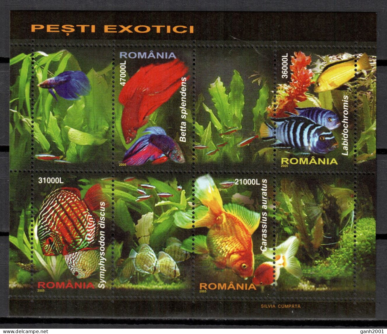 Romania 2005 Rumanía / Fishes MNH Fische Peces Poisson / Hs21  40-63 - Fishes