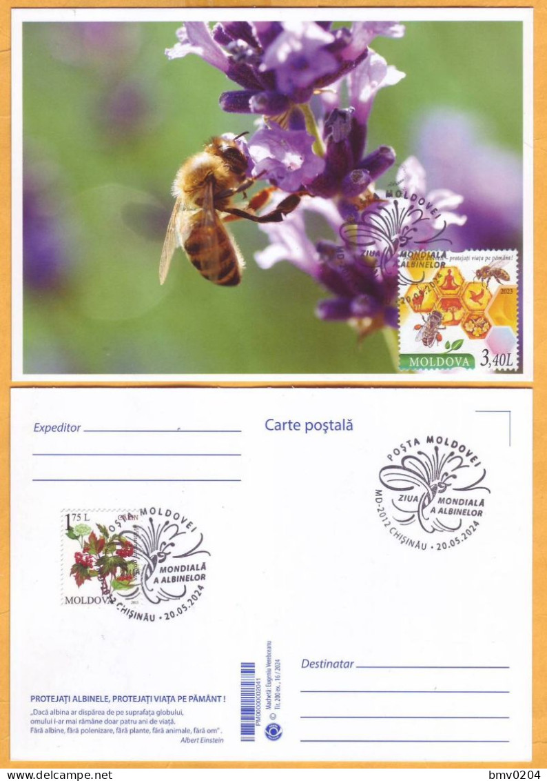 2024 Moldova  MAXICARD Special Postmark „World Bee Day”,Insects, Honeybees - Abeilles