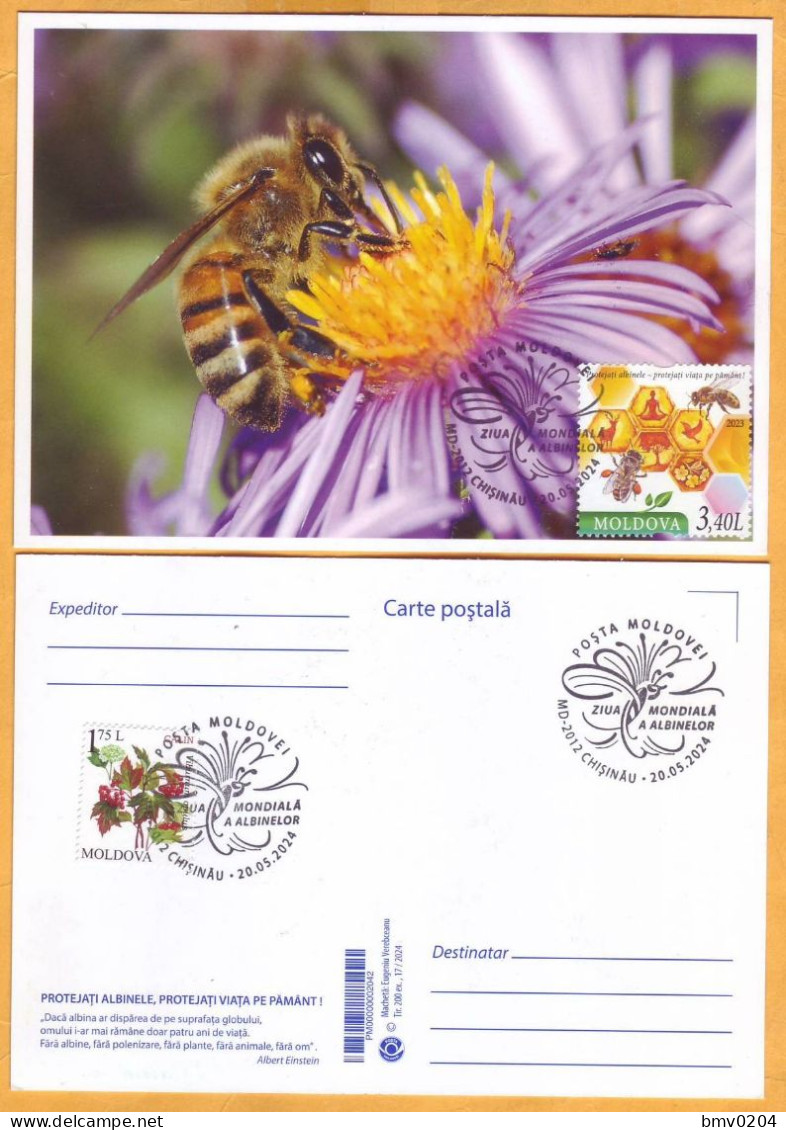 2024 Moldova  MAXICARD Special Postmark „World Bee Day”,Insects, Honeybees - Bienen