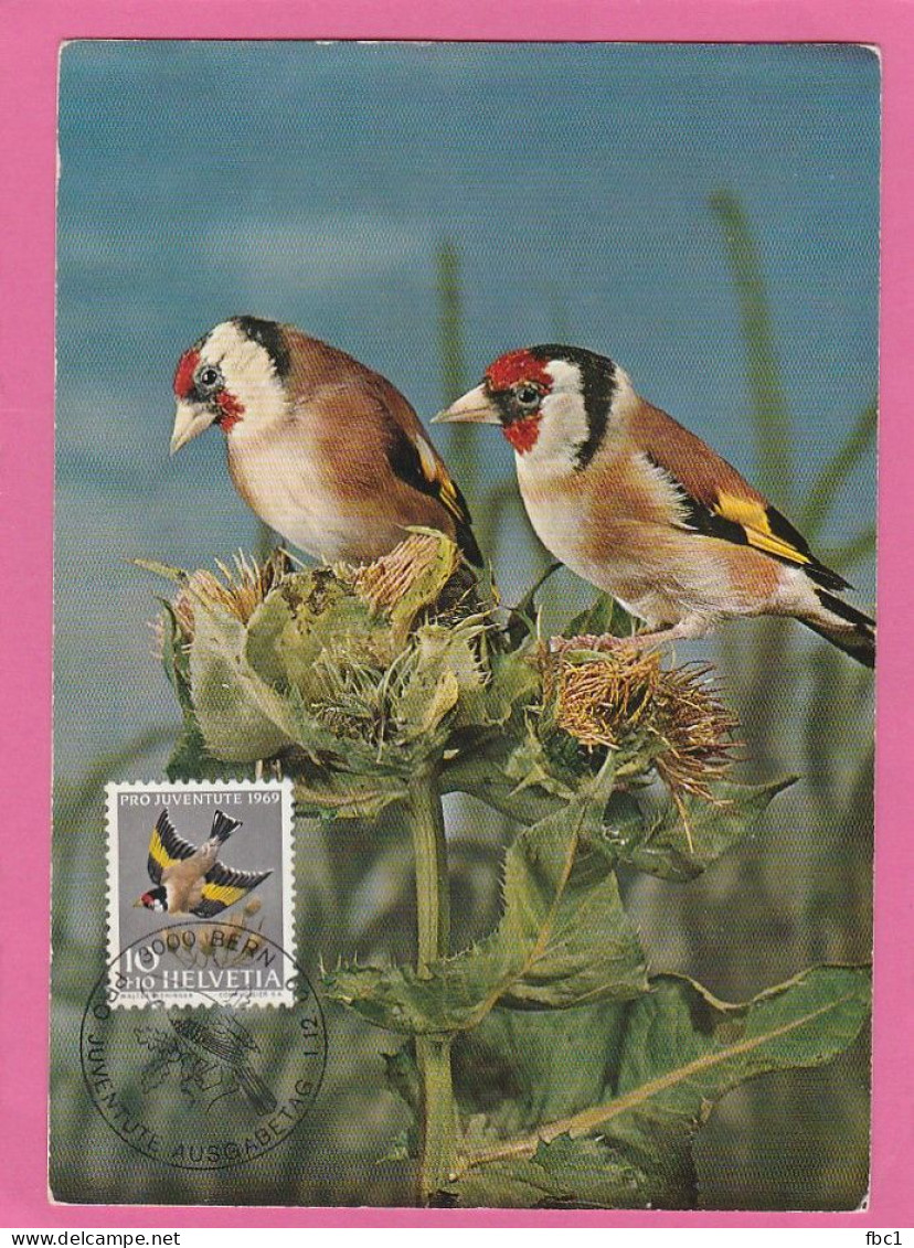 Suisse - Carte Maximum 1969 - Chardonnerets - Songbirds & Tree Dwellers