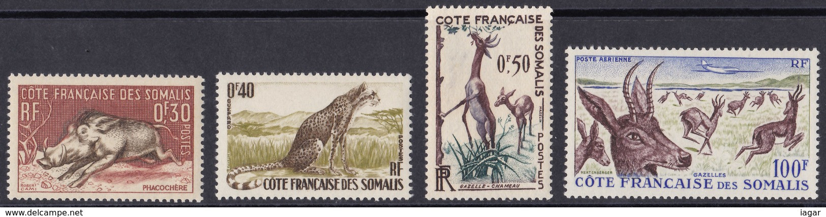 THEMATIC FAUNA: WARTHOG, CHEETAH, WALLER'S GAZELLE, GAZELLES   -  COTE DES SOMALIS - Other & Unclassified