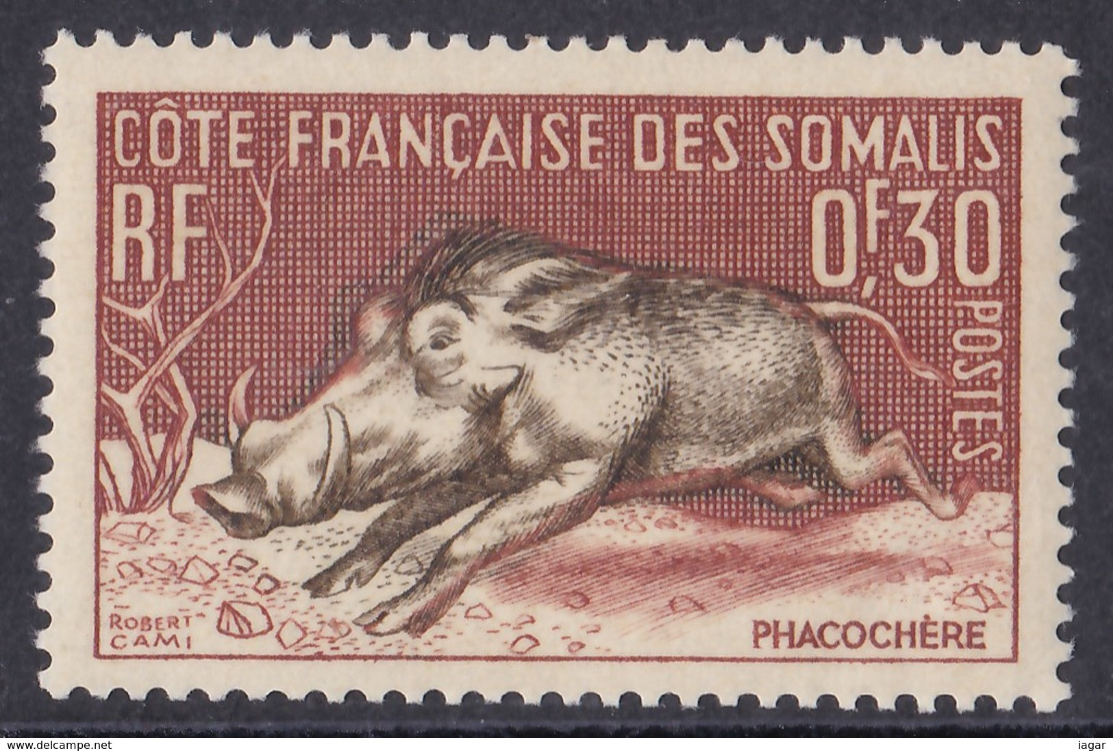 THEMATIC FAUNA: WARTHOG, CHEETAH, WALLER'S GAZELLE, GAZELLES   -  COTE DES SOMALIS - Autres & Non Classés