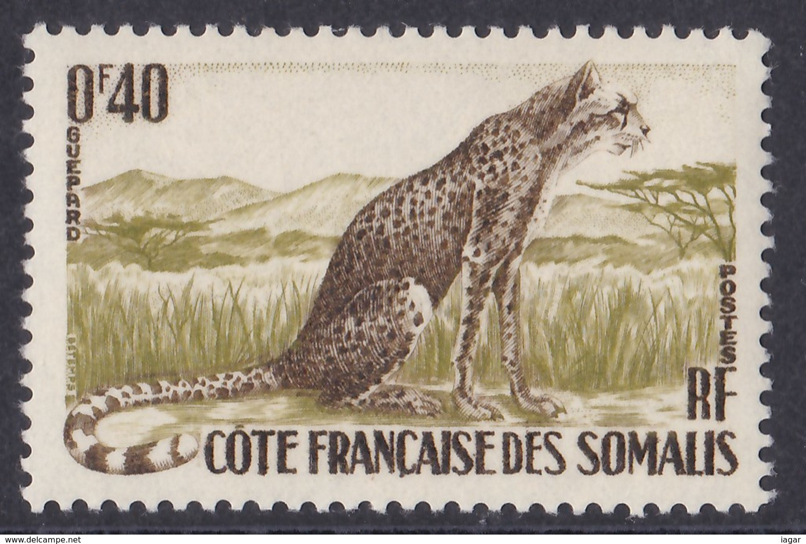 THEMATIC FAUNA: WARTHOG, CHEETAH, WALLER'S GAZELLE, GAZELLES   -  COTE DES SOMALIS - Other & Unclassified