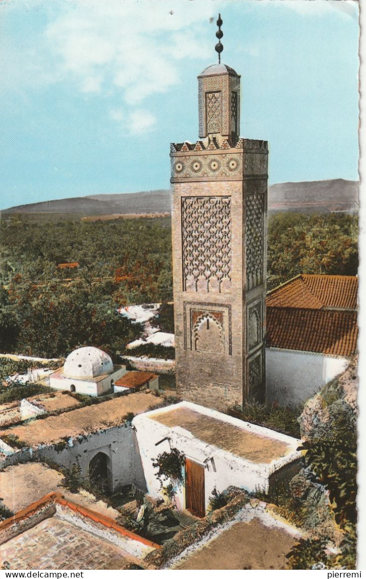 TLEMCEN  Minaret De Sidi Lhaloui - Tlemcen