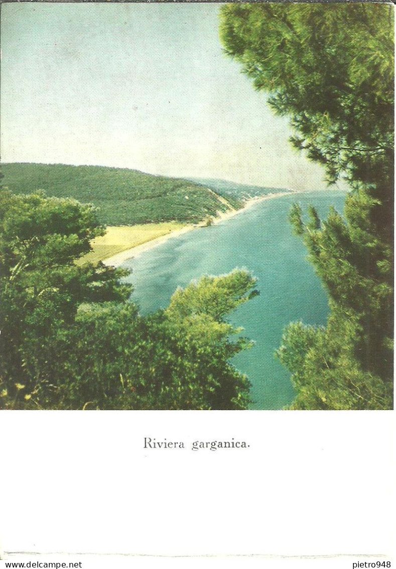 Riviera Garganica (Foggia) Panorama, General View, Vue Generale, 2 Cartoline Ed. Ente Prov. Turismo Foggia - Foggia