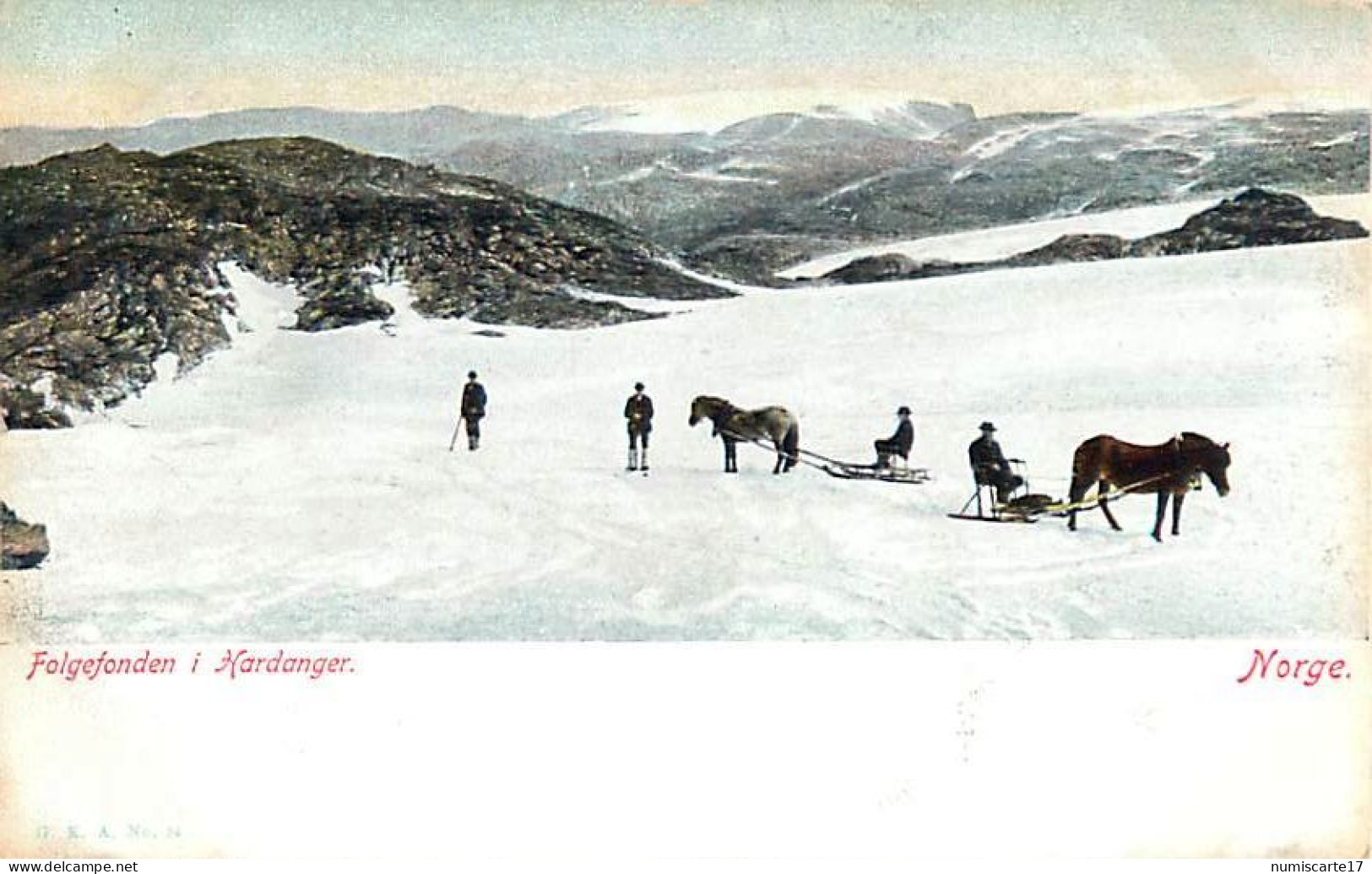 Cpa NORGE - Folgefonden I Hardanger - Ski, Traïneaux Hippomobiles - Norvège