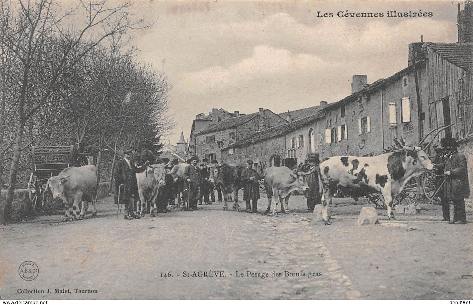 SAINT-AGREVE (Ardèche) - Le Pesage Des Boeufs Gras - Voyagé 1907 (2 Scans) - Saint Agrève