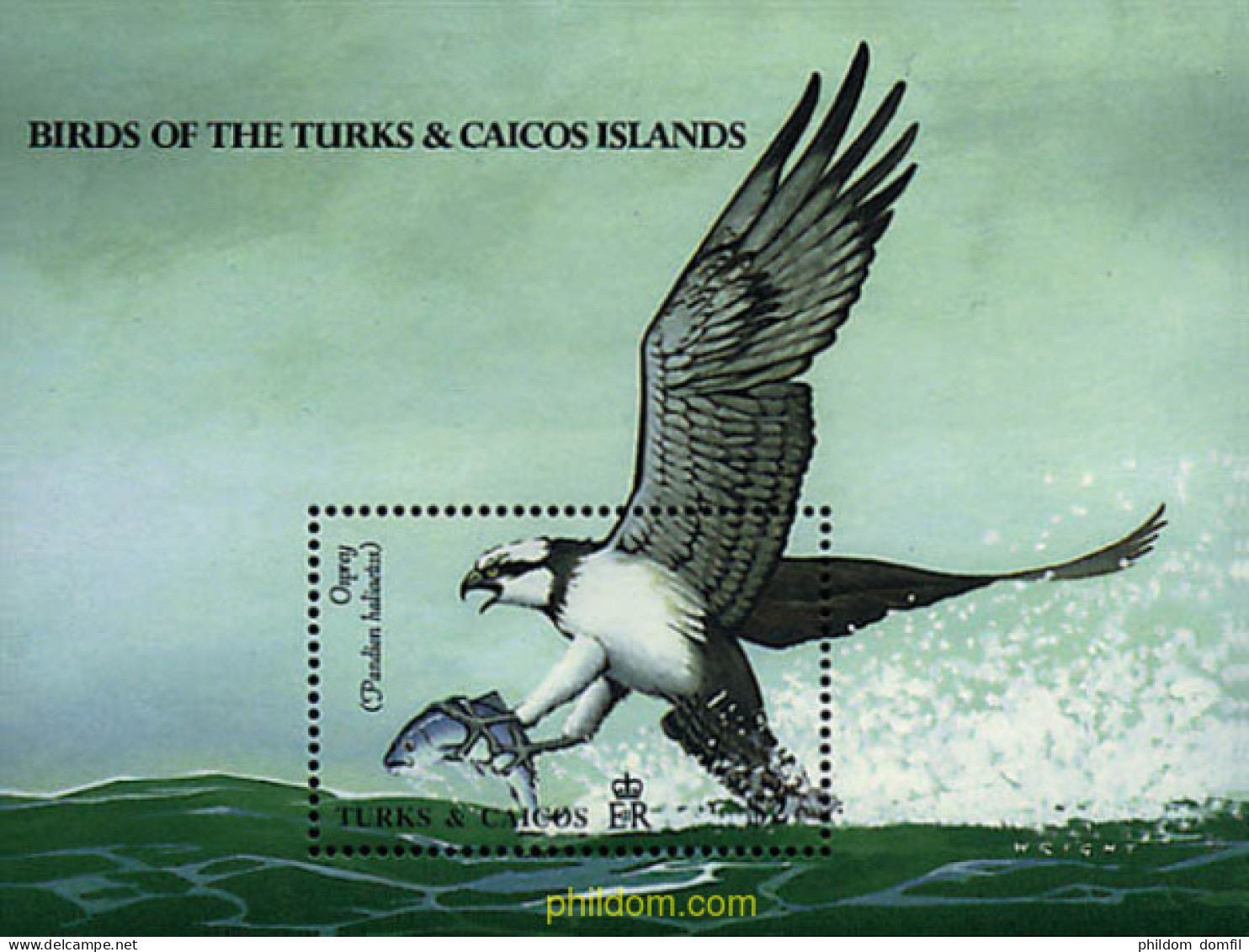 299291 MNH TURKS Y CAICOS 1990 AVES AUTOCTONAS - Turks And Caicos