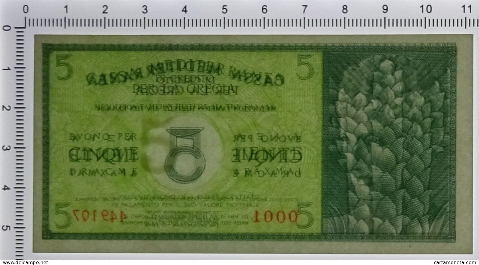 5 DRACME CASSA MEDITERRANEA DI CREDITO PER LA GRECIA 1941 FDS-/FDS - Other & Unclassified