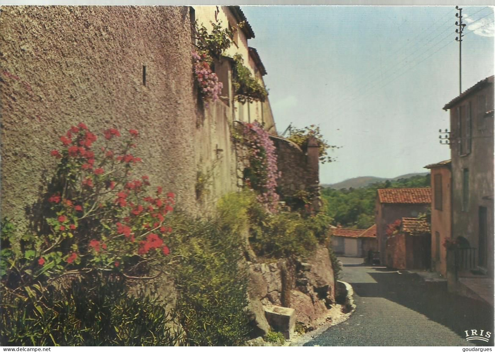 Ramatuelle - Rue Pittoresque - (P) - Ramatuelle