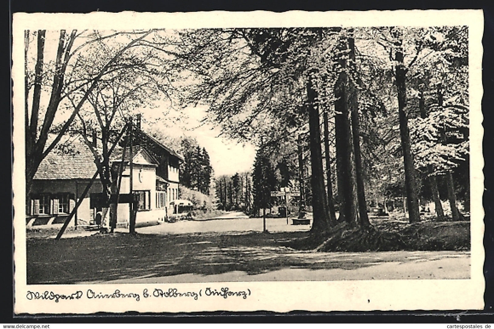 AK Auerberg / Harz, Ortspartie Mit Wegweisern  - Andere & Zonder Classificatie