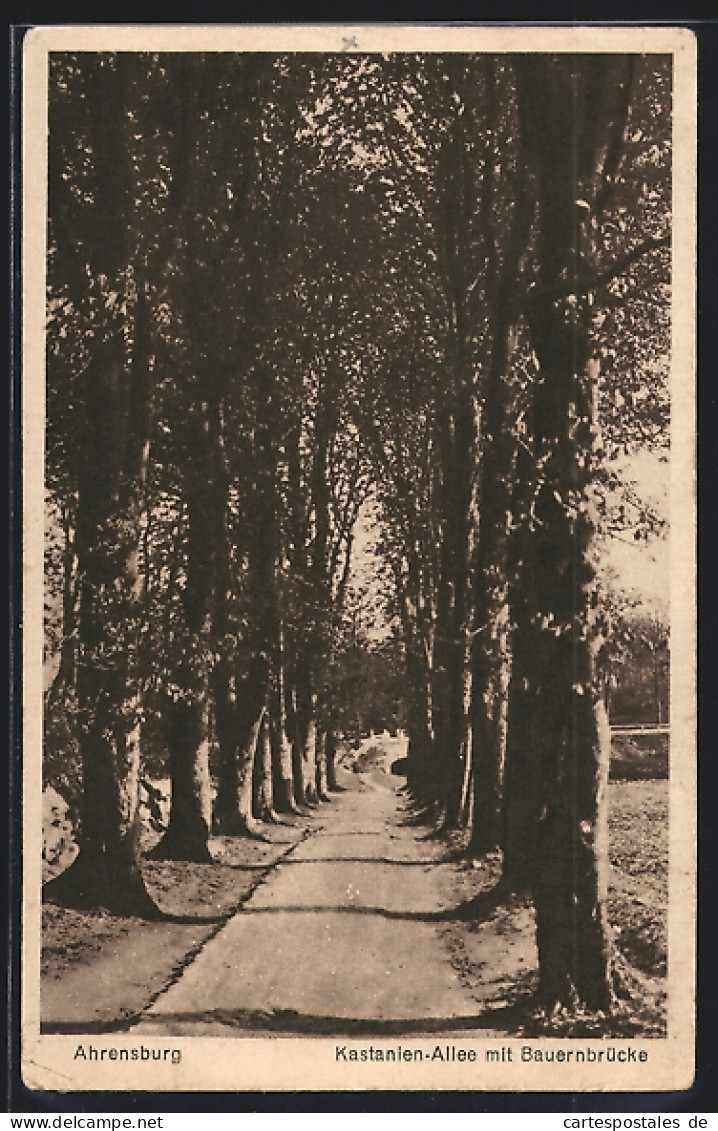 AK Ahrensburg / Holstein, Kastanienallee Mit Bauernbrücke  - Ahrensburg