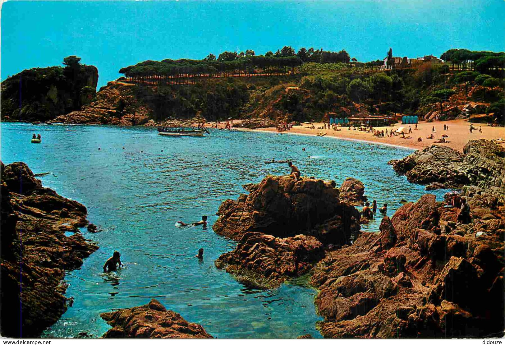 Espagne - Espana - Cataluna - Costa Brava - Blanes - Cala San Francisco - CPM - Voir Scans Recto-Verso - Gerona