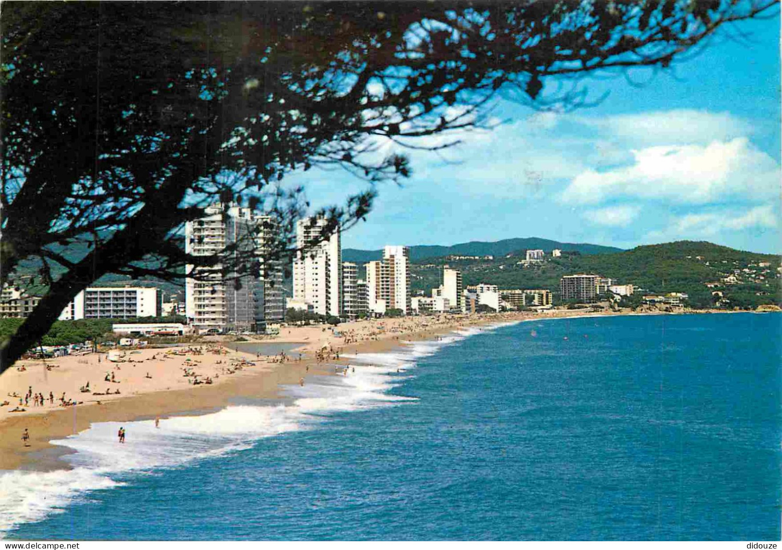 Espagne - Espana - Cataluna - Costa Brava - Playa De Aro - Vista General - Vue Générale - Immeubles - Architecture - CPM - Gerona