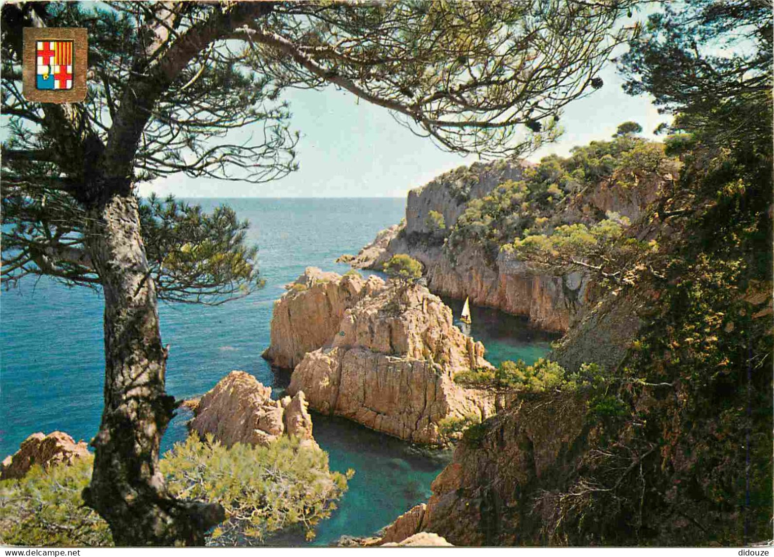 Espagne - Espana - Cataluna - Costa Brava - San Feliu De Guixols - Cala Cap De Mort - CPM - Voir Scans Recto-Verso - Gerona