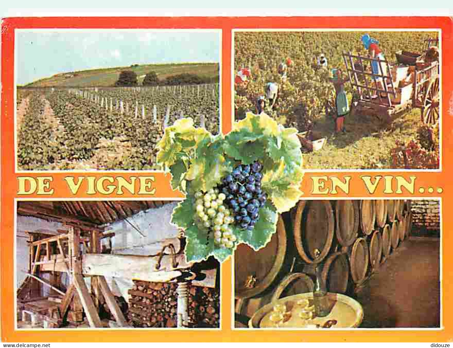 Vignes - De Vigne En Vin - Multivues - Vendanges - Tonneaux - Pressoir - Vendanges - Raisins - Vin - CPM - Voir Scans Re - Vignes