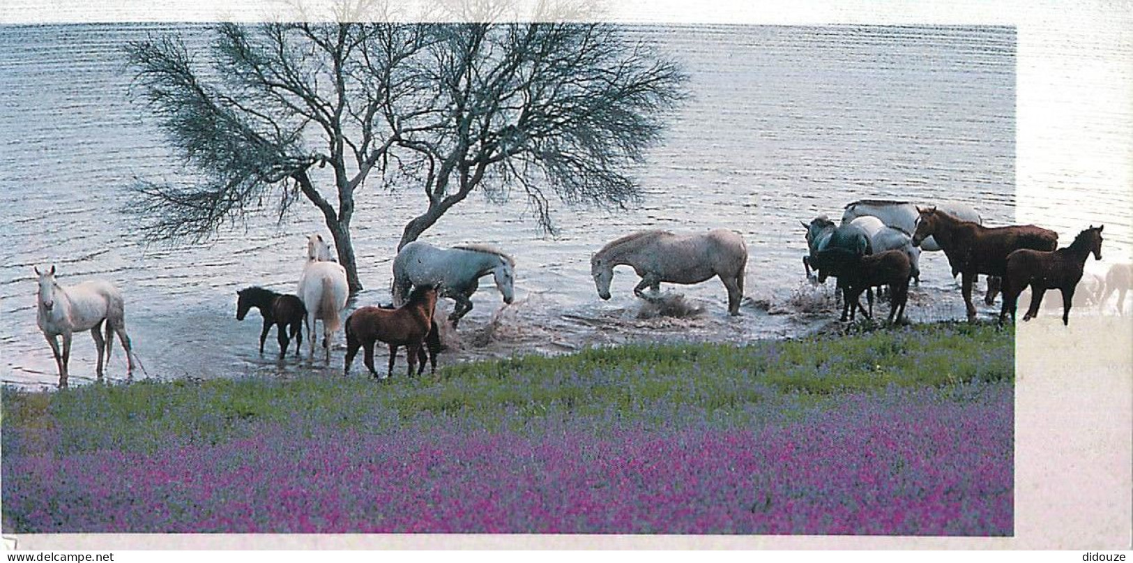 Format Spécial - 210 X 105 Mms - Animaux - Chevaux - Baignade - Fleurs - Etat Léger Pli Visible - Frais Spécifique En Ra - Horses