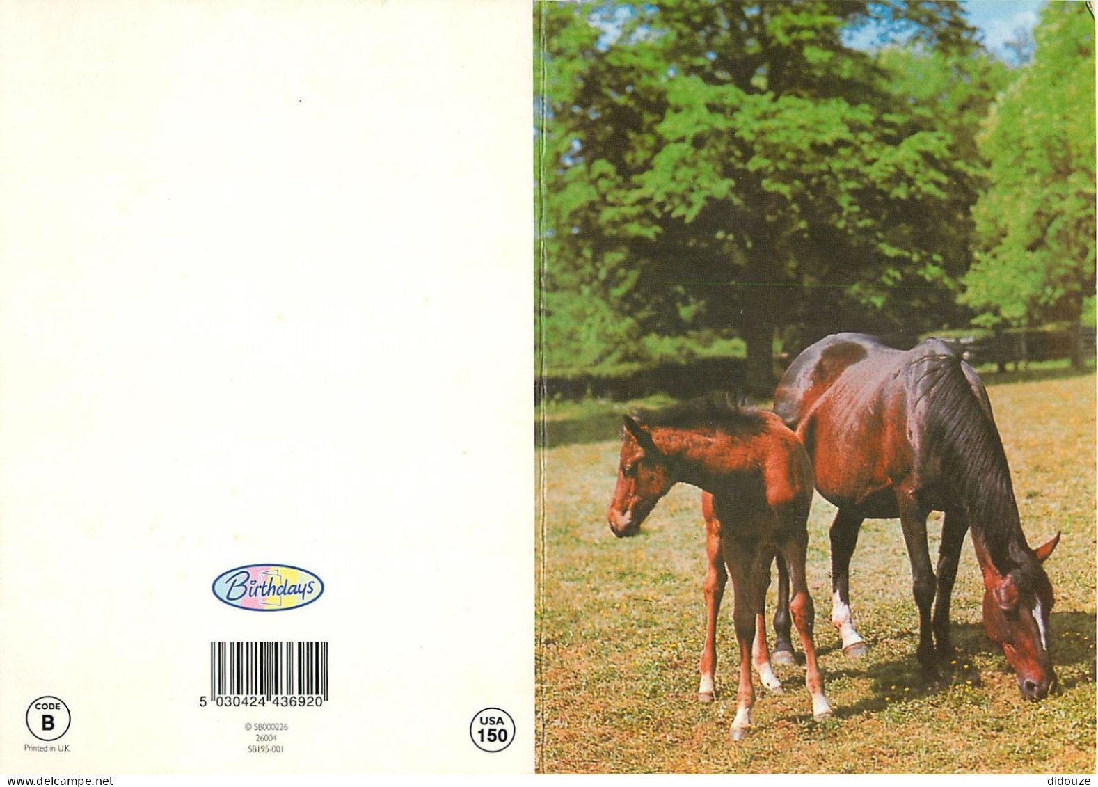 Format Spécial - 195 X 137 Mms Repliée - Animaux - Chevaux - Pouliche Et Son Poulain - Carte Anniversaire - Carte Neuve  - Horses