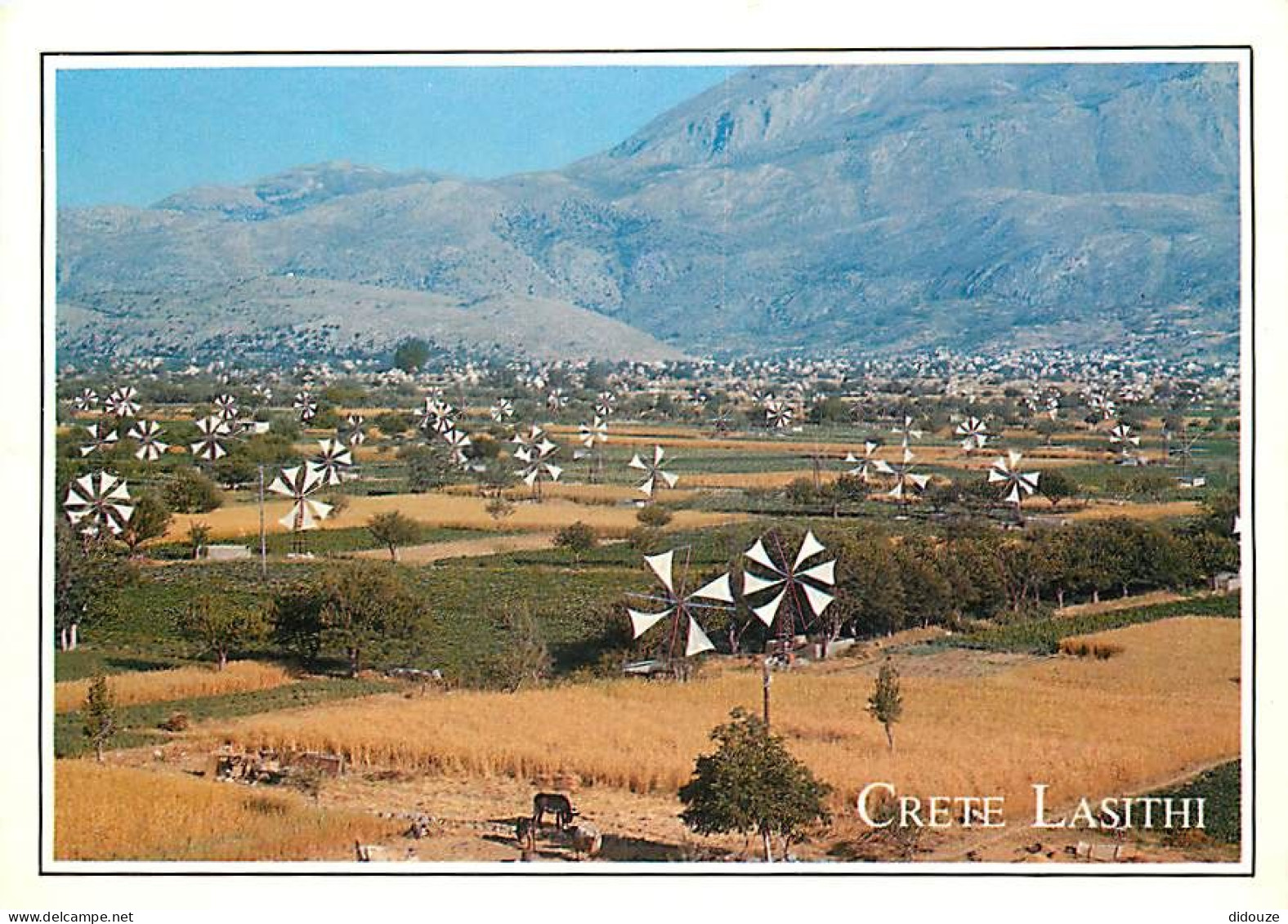 Grèce - Crète - Kríti - Lassithi - Moulins à Vent - Carte Neuve - CPM - Voir Scans Recto-Verso - Grèce