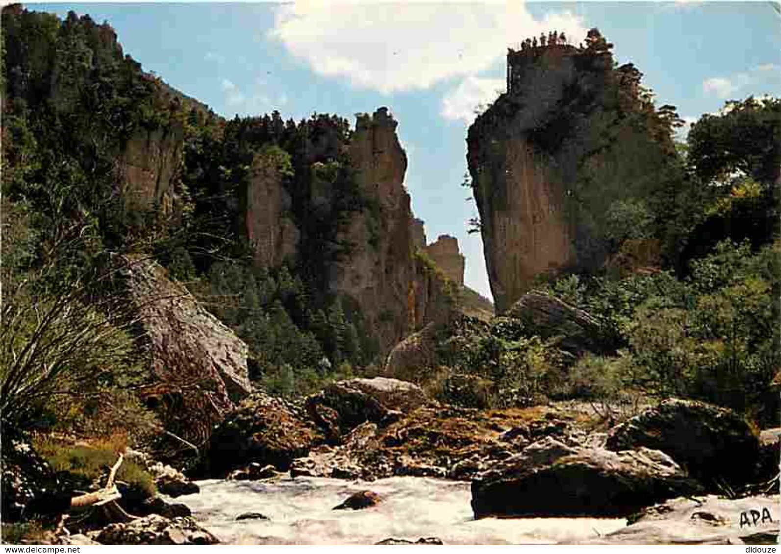 48 - Les Gorges Du Tarn - Le Tarn Tumulteux Se Créant Un Passage Dans Le Chaos Du Pas De Souci - Au Sommet Du Rocher Dom - Gorges Du Tarn