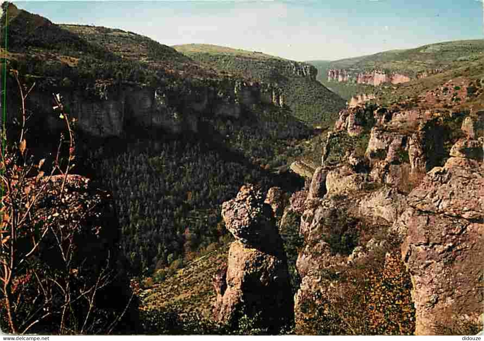48 - Les Gorges Du Tarn - Vue Panoramique Sur Le Canon De La Jonte - CPM - Voir Scans Recto-Verso - Gorges Du Tarn