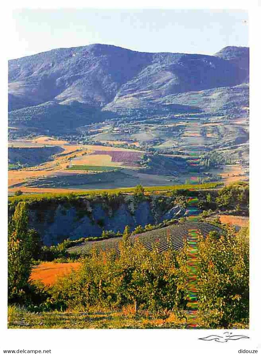 26 - Drome - Paysage Des Baronnies - CPM - Voir Scans Recto-Verso - Other & Unclassified