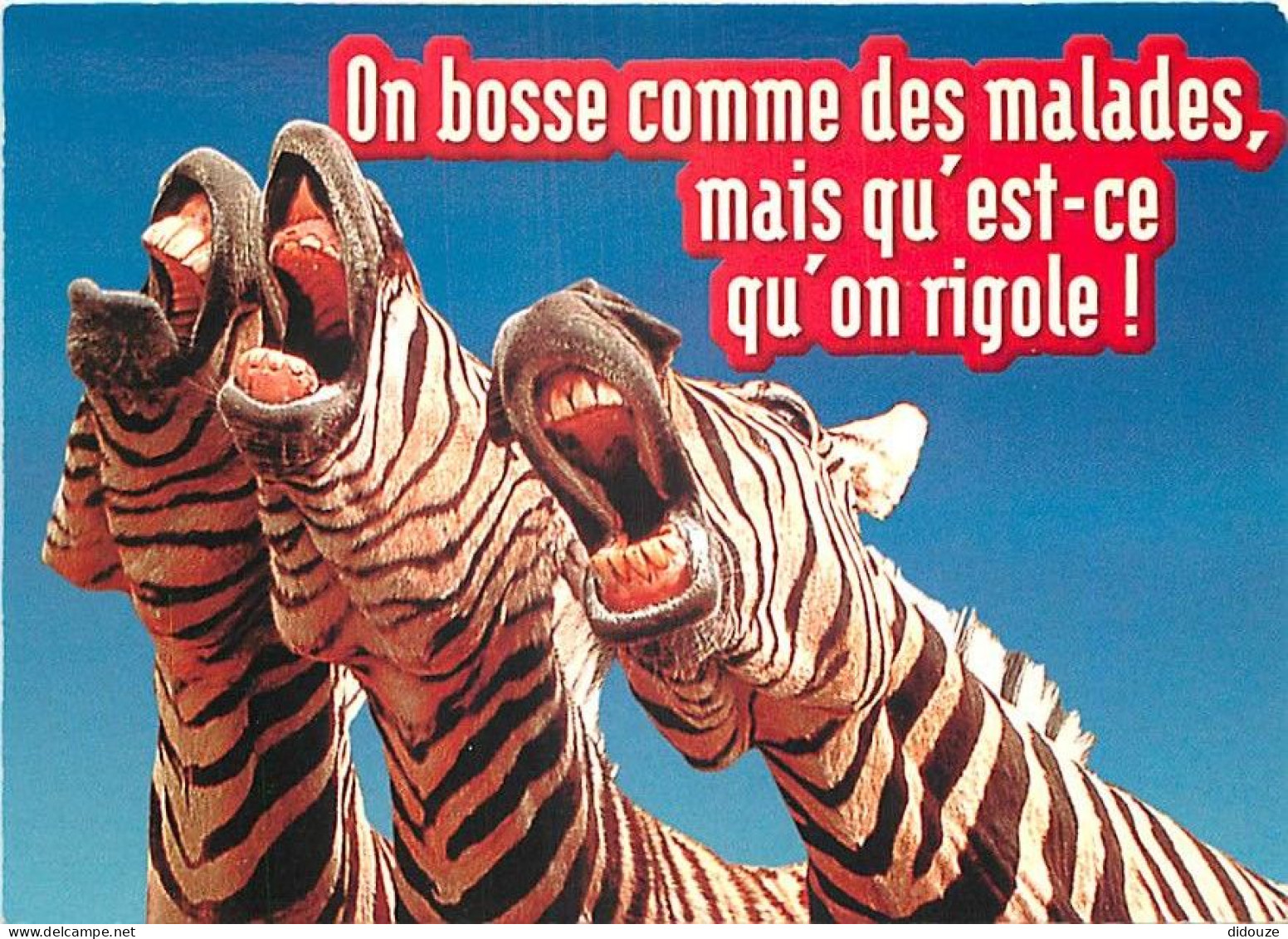 Animaux - Zèbres - Carte à Message Ou Humoristique - CPM - Carte Neuve - Voir Scans Recto-Verso - Zebras