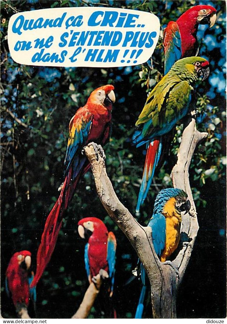 Animaux - Oiseaux - Perroquet - Aras ( Amérique Du Sud ) - Carte Humoristique - CPM - Voir Scans Recto-Verso - Birds