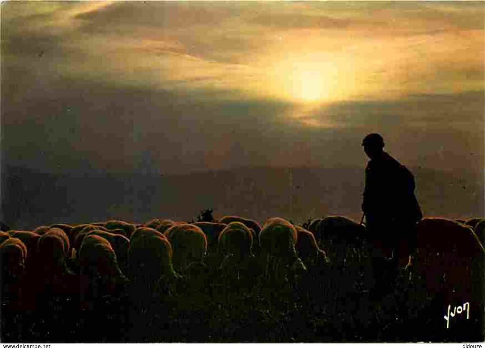 Animaux - Moutons - Crépuscule Sur Le Troupeau - CPM - Voir Scans Recto-Verso - Other & Unclassified