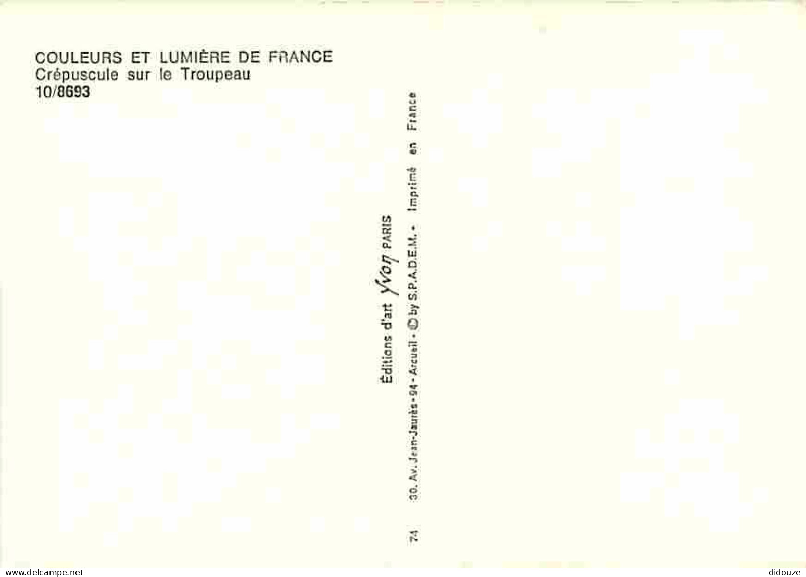 Animaux - Moutons - Crépuscule Sur Le Troupeau - CPM - Voir Scans Recto-Verso - Other & Unclassified