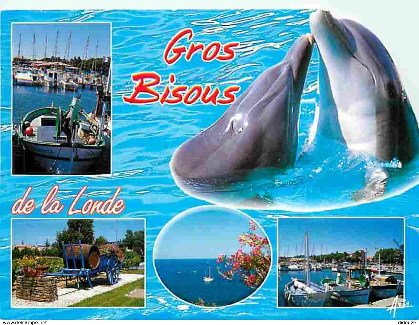 Animaux - Dauphins - CPM - Voir Scans Recto-Verso - Delphine