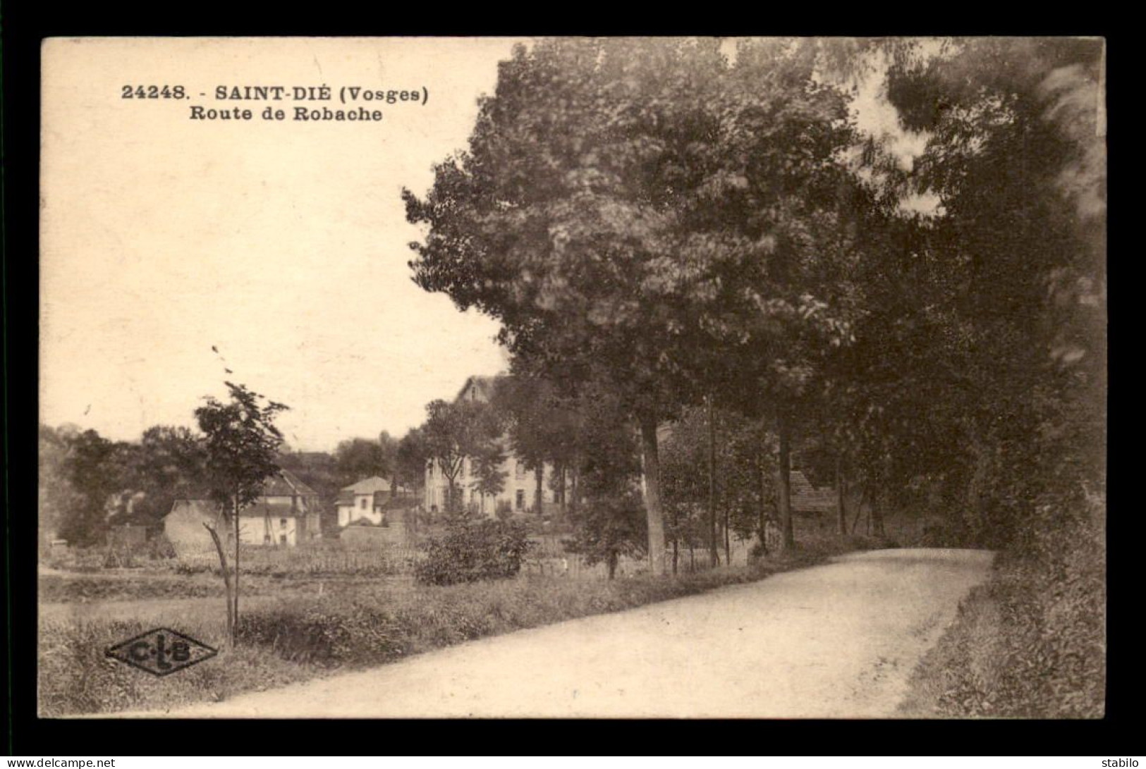 88 - ST-DIE - ROUTE DE ROBACHE - Saint Die