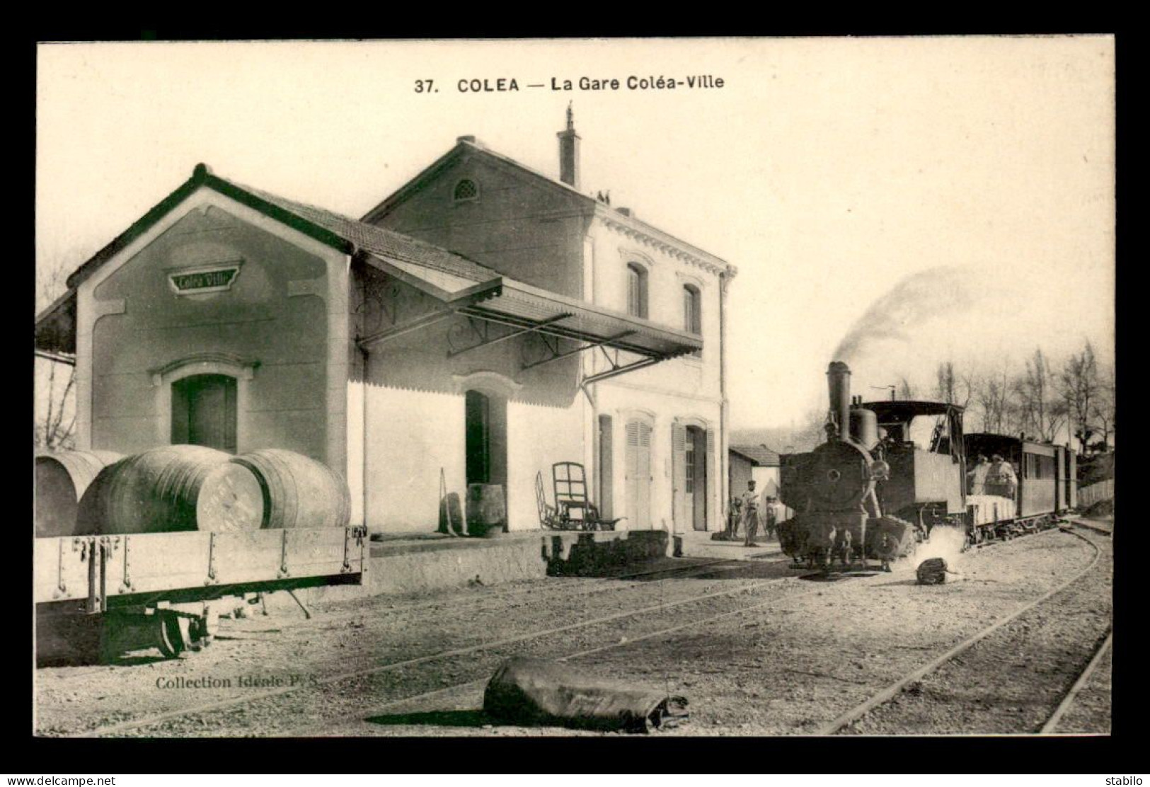 ALGERIE - COLEA - TRAIN EN  GARE DE CHEMIN DE FER DE COLEA-VILLE - Other & Unclassified