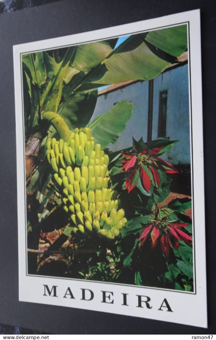 Madeira - Bananas E Manhas De Pascoa - Madeira