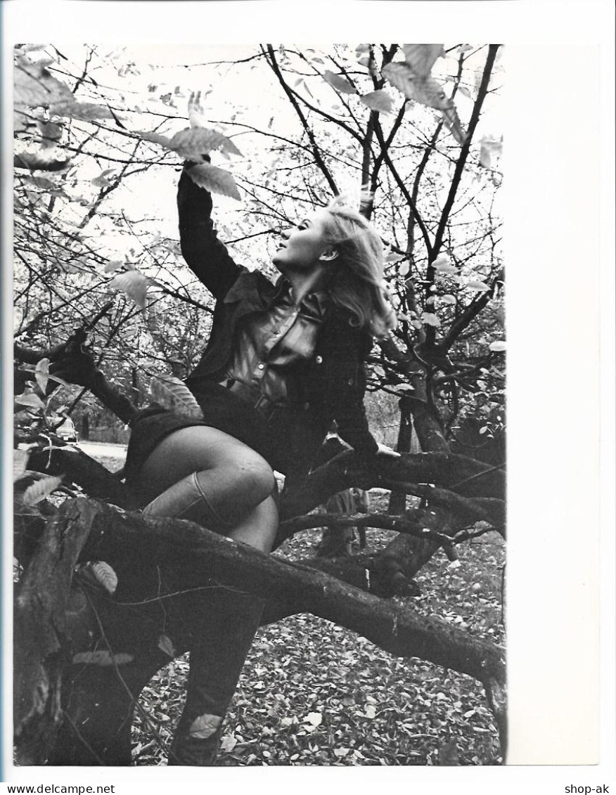 C6374/ Lulu  Pressefoto Foto  25 X 20,5 Cm 1967 - Sonstige & Ohne Zuordnung