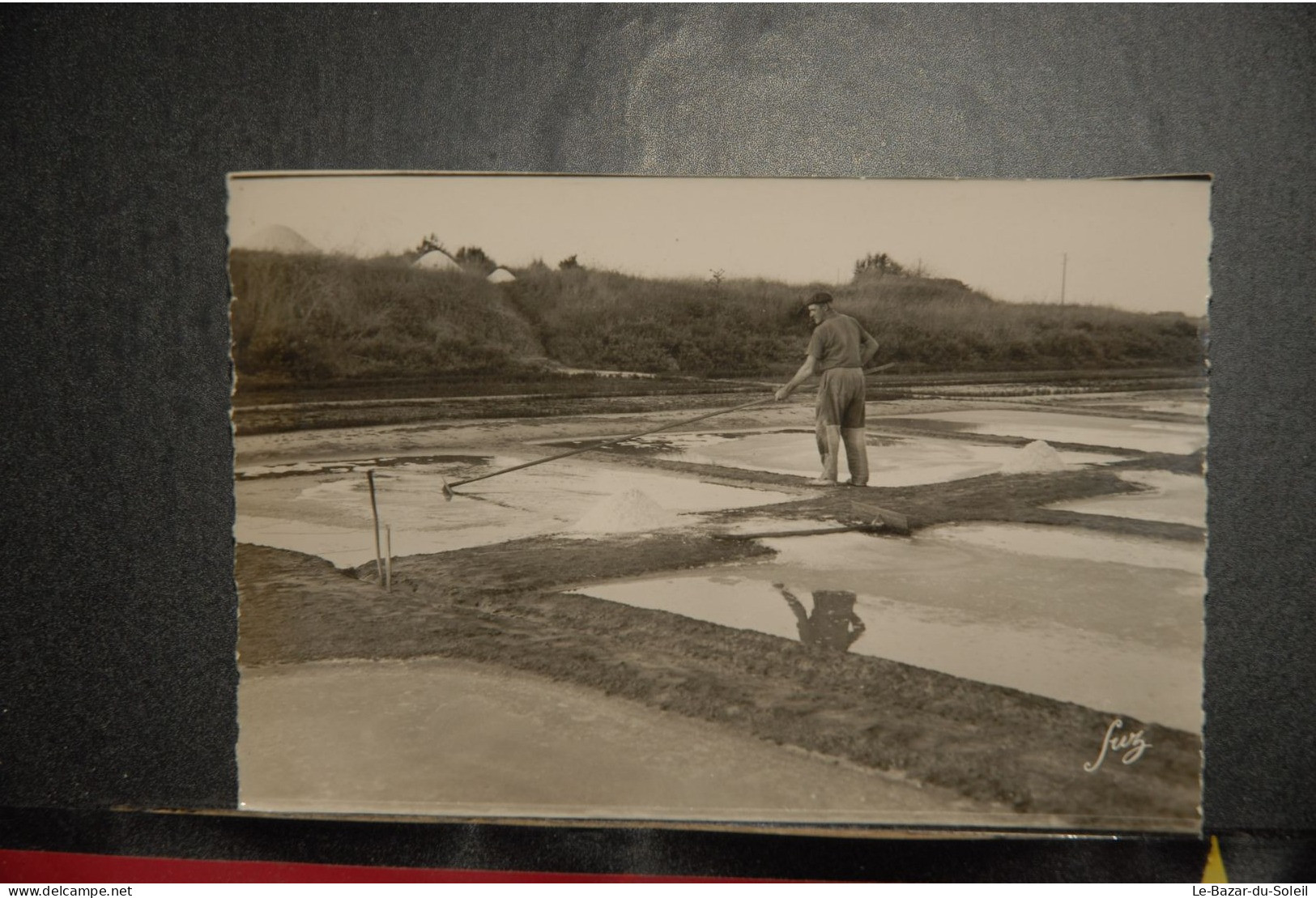 CP, 17, Ile D'Oléron - Marais Salants - La Récolte Du Sel - Ile D'Oléron