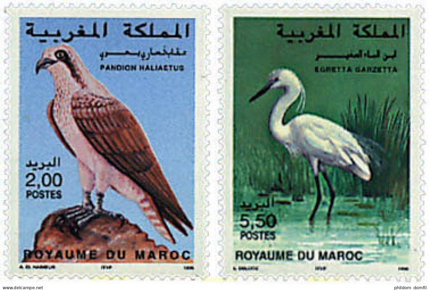 36780 MNH MARRUECOS 1996 FAUNA. AVES - Maroc (1956-...)