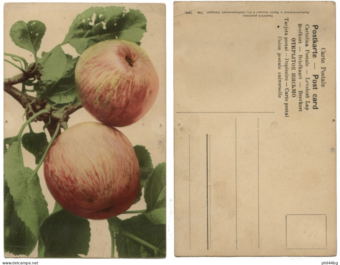 CP - POMMES - Martin Rommel & Co Hofkunstanstalt, Stuttgart - Année 1906 - AV - Fleurs