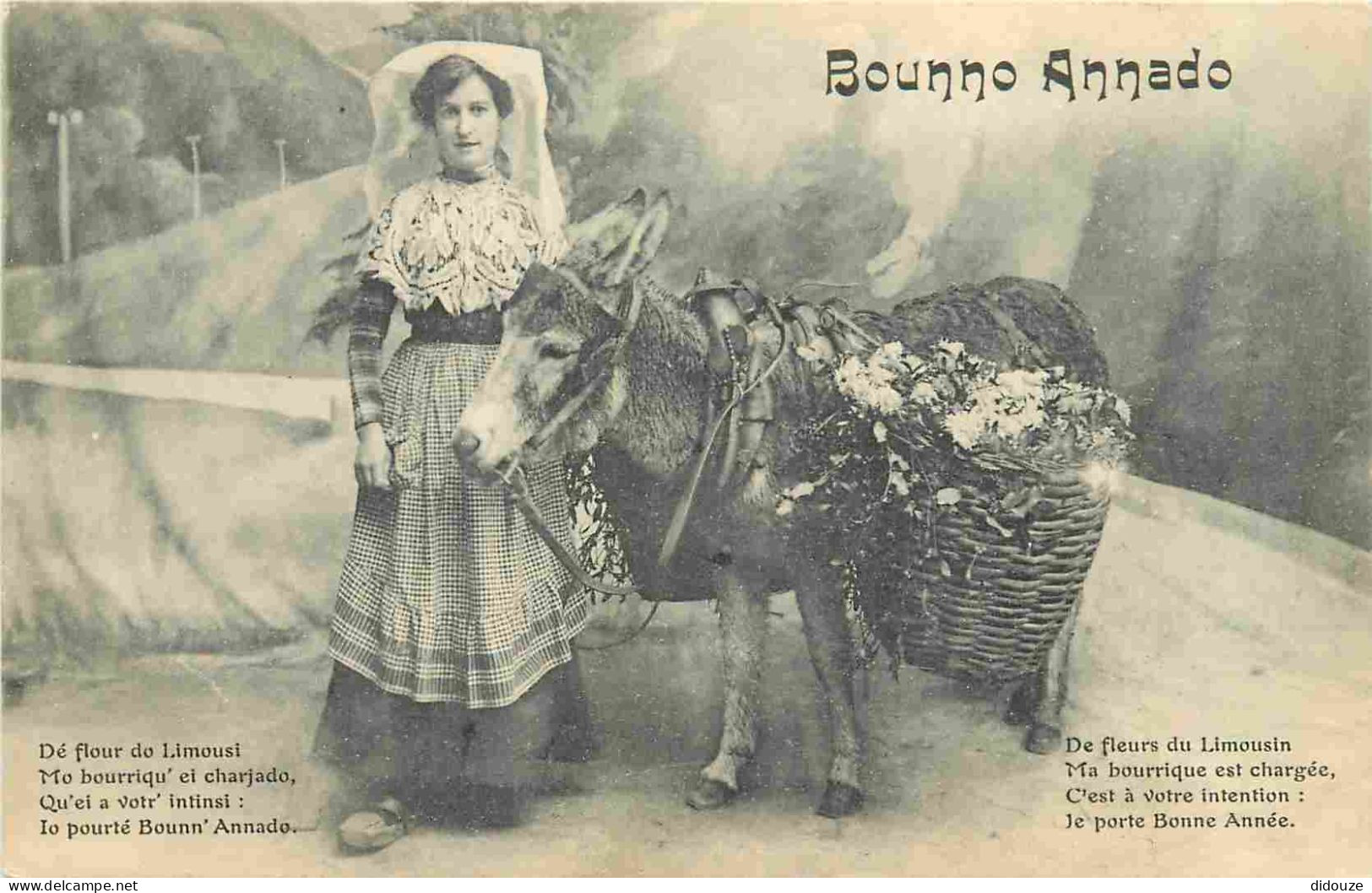 87 - Limousin - Folklore - Scène Et Types - Animée - Anes - Correspondance - CPA - Oblitération Ronde De 1910 - Voir Sca - Sonstige & Ohne Zuordnung