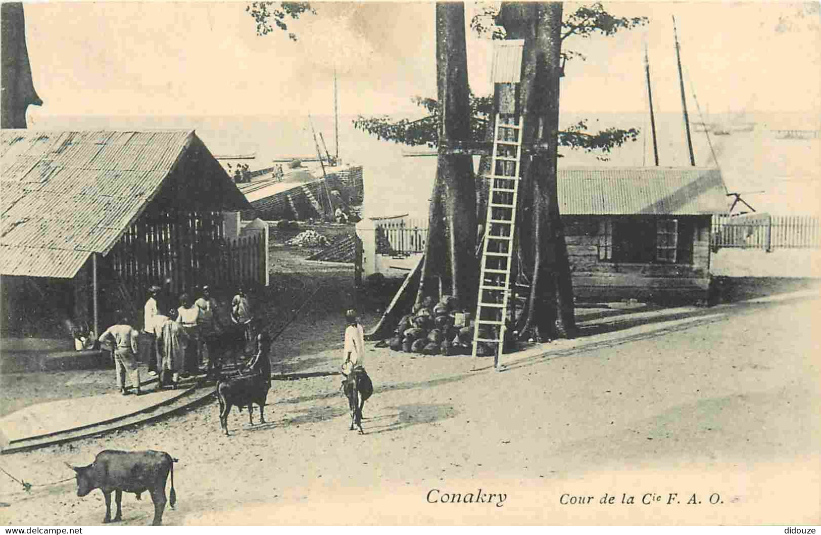 Guinée - Cour De La Compagnie F. A. O. - Animée - Précurseur - CPA - Voir Scans Recto-Verso - Guinea